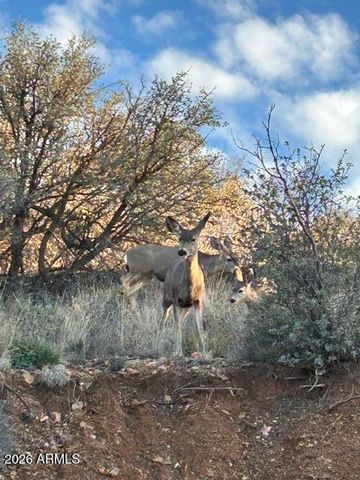14301 E AVALON Drive, Dewey, AZ 86327