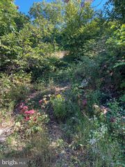 951 BOBCAT TRL, Winchester, VA 22602