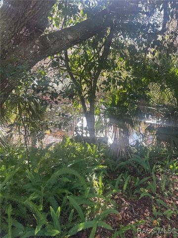 3100 N Edwards Island, Hernando, FL 34442