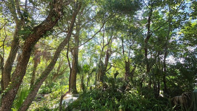 236 N AMELIA AVENUE, Deland, FL 32724