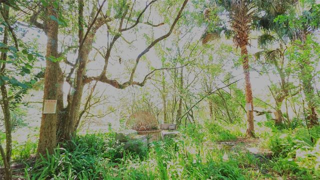 236 N AMELIA AVENUE, Deland, FL 32724