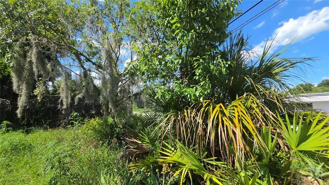 236 N AMELIA AVENUE, Deland, FL 32724