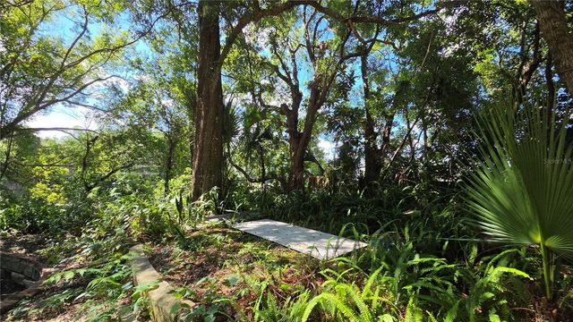 236 N AMELIA AVENUE, Deland, FL 32724