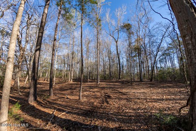 0 Smith Creek Road, Vandemere, NC 28587