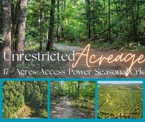 000 Co Rd C-228, Norwood, MO 65717