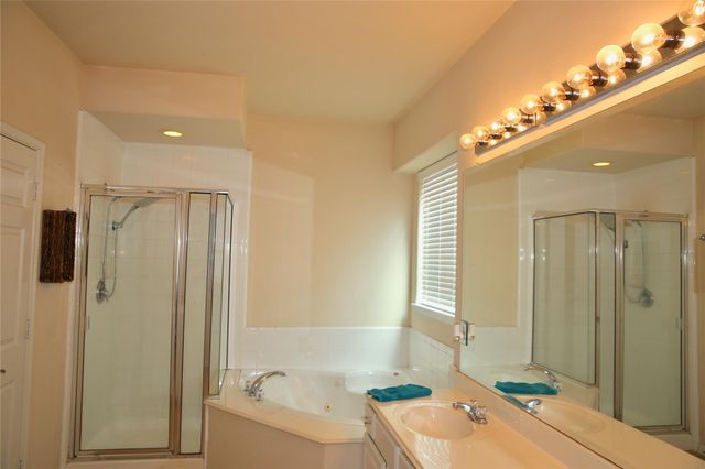 10426 Tree Hollow Circle, La Porte, TX 77571