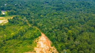311 Cove Lake Drive, Livingston, TX 77351
