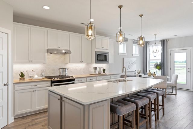 19532 102nd Place, Corcoran, MN 55374