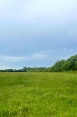 16 acres Williams Road, Defuniak Springs, FL 32433