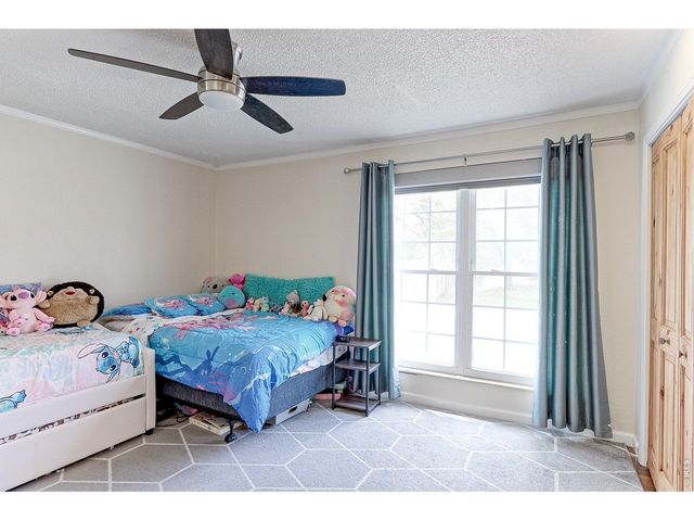 10939 Grange Creek Dr, Thornton, CO 80233