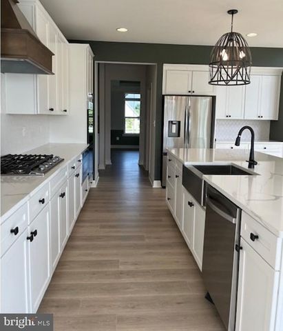 16250 AMORA DRIVE, Milton, DE 19968