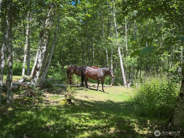 663 Glass Road, Port Angeles, WA 98362