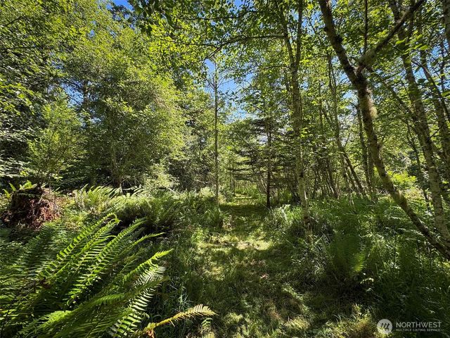 663 Glass Road, Port Angeles, WA 98362