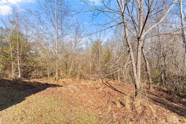 4541 Cavender Creek Road, Dahlonega, GA 30533