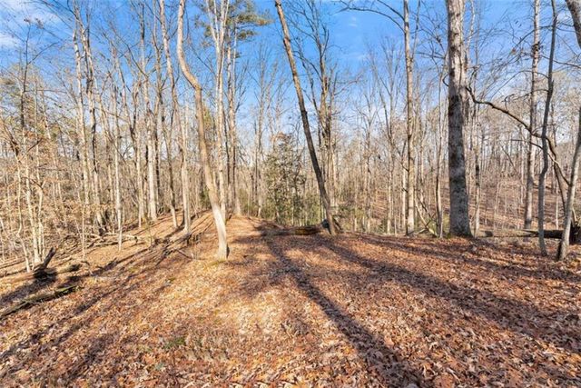 4541 Cavender Creek Road, Dahlonega, GA 30533