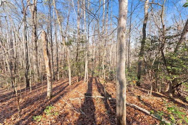 4541 Cavender Creek Road, Dahlonega, GA 30533