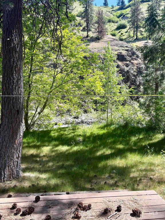 5438 Hwy 95, New Meadows, ID 83654 photo 2