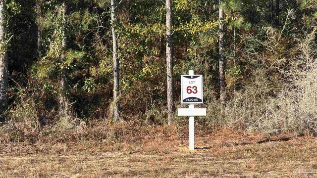 lot 63 Straw Bridge Rd, Allentown, FL 32565
