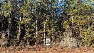 lot 63 Straw Bridge Rd, Allentown, FL 32565