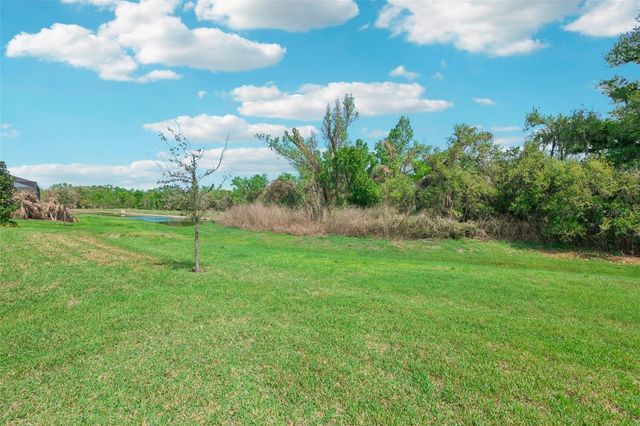 14162 SWISS BRIDGE DRIVE, Riverview, FL 33579