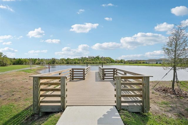 14162 SWISS BRIDGE DRIVE, Riverview, FL 33579