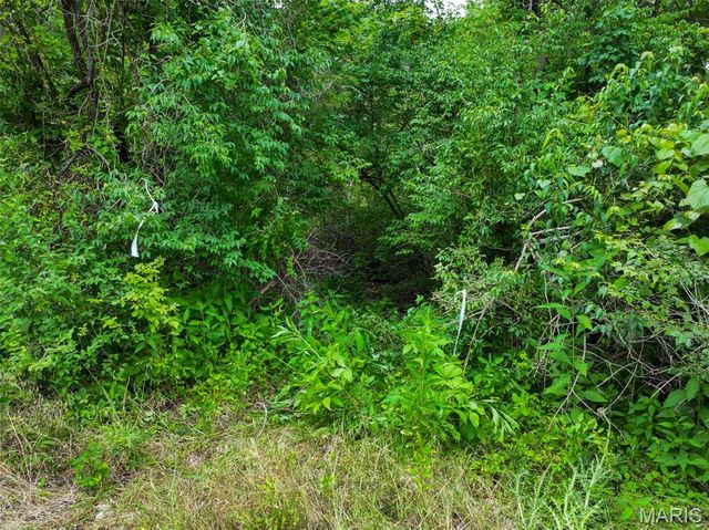 0 Clayton Huskey Road, Hillsboro, MO 63050