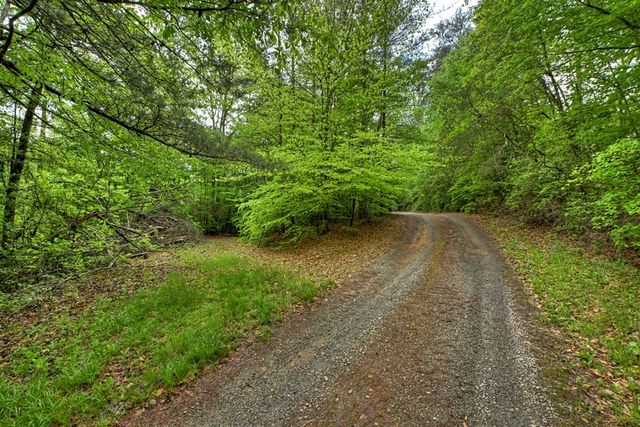 388 Jones Street, Blue Ridge, GA 30513