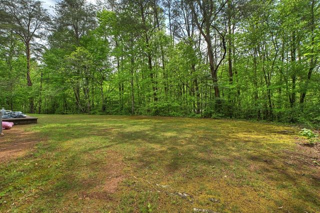 388 Jones Street, Blue Ridge, GA 30513
