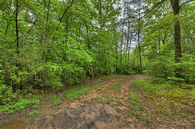 388 Jones Street, Blue Ridge, GA 30513