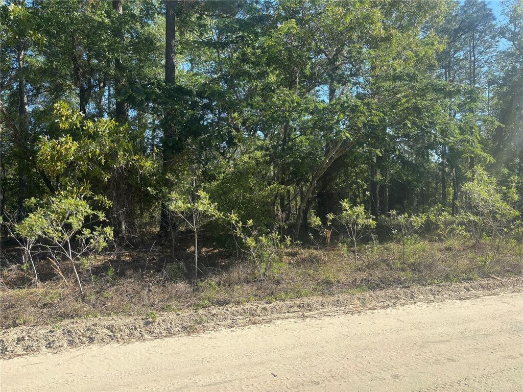 0000 SW 8TH PLACE, Ocala, FL 34481