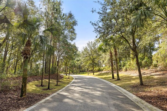 2292 MOUNTAIN PINE STREET, Ocoee, FL 34761