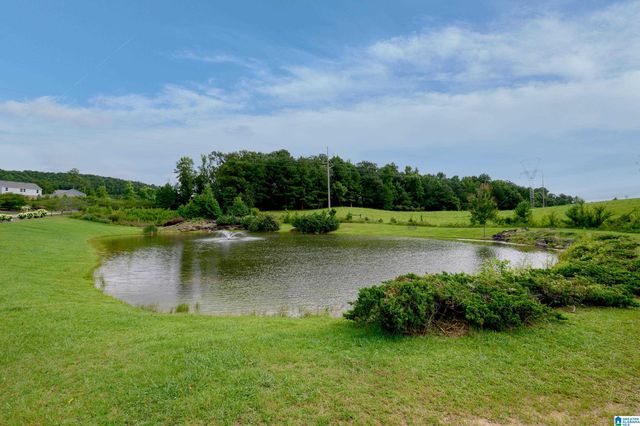 6982 SOUTHERN TRACE LOOP, Leeds, AL 35094