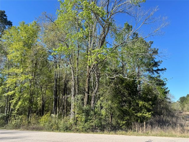 TBD Railroad Avenue, Shepherd, TX 77371
