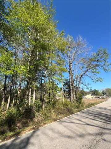 TBD Railroad Avenue, Shepherd, TX 77371