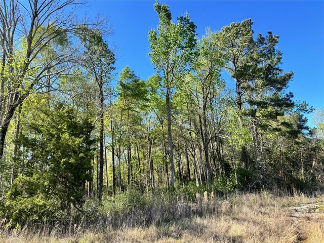 TBD Railroad Avenue, Shepherd, TX 77371