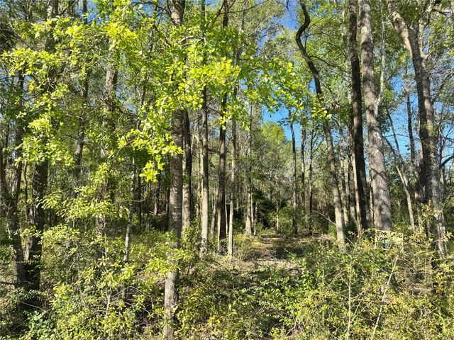 TBD Railroad Avenue, Shepherd, TX 77371