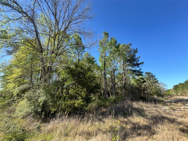 TBD Railroad Avenue, Shepherd, TX 77371