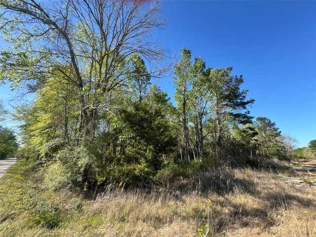 TBD Railroad Avenue, Shepherd, TX 77371