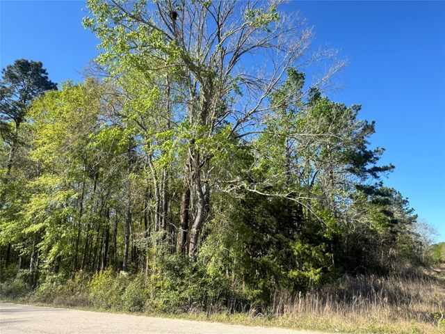 TBD Railroad Avenue, Shepherd, TX 77371