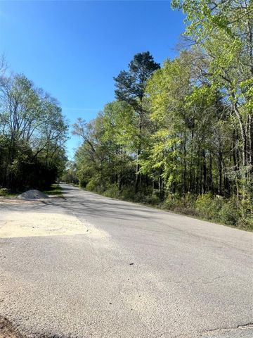 TBD Railroad Avenue, Shepherd, TX 77371