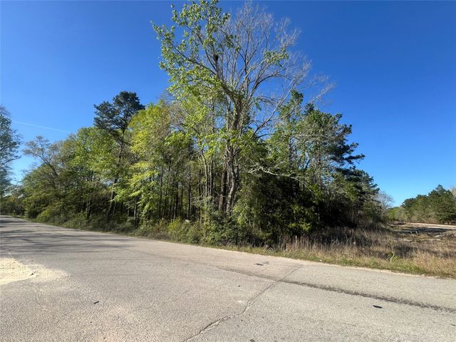 TBD Railroad Avenue, Shepherd, TX 77371