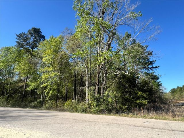 TBD Railroad Avenue, Shepherd, TX 77371