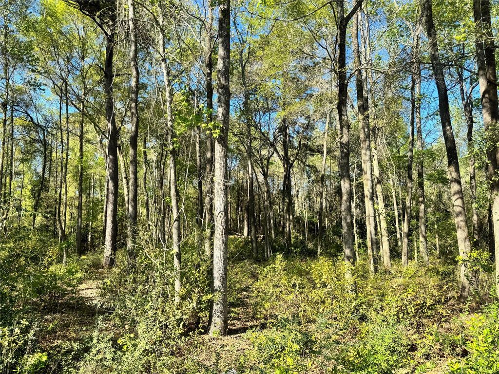 TBD Railroad Avenue, Shepherd, TX 77371