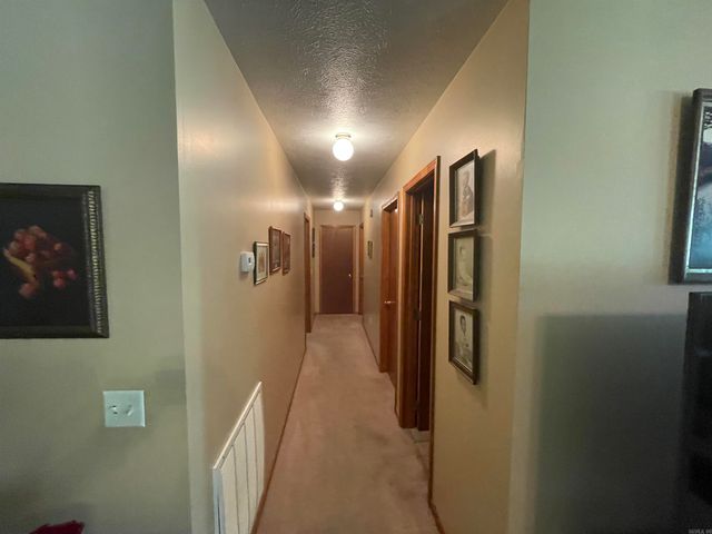 186 Wilcox, Mountain View, AR 72560