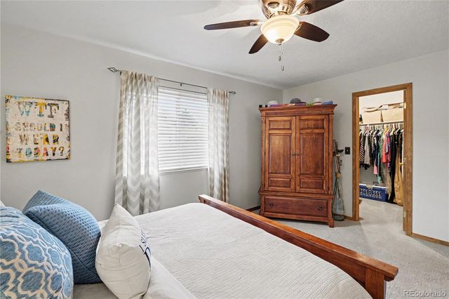 717 Shipman Mountain Court, Windsor, CO 80550