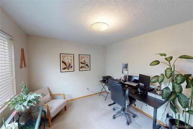 717 Shipman Mountain Court, Windsor, CO 80550