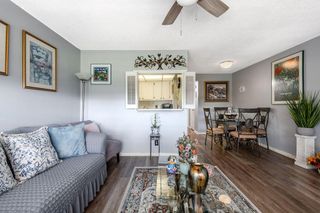393 Windsor, West Palm Beach, FL 33417