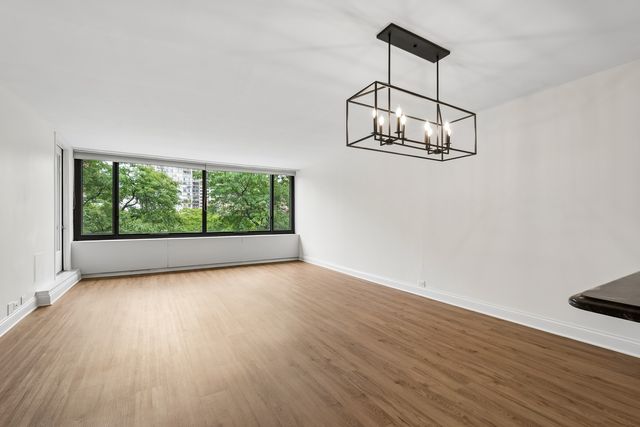1555 N Sandburg Terrace 512K, Chicago, IL 60610