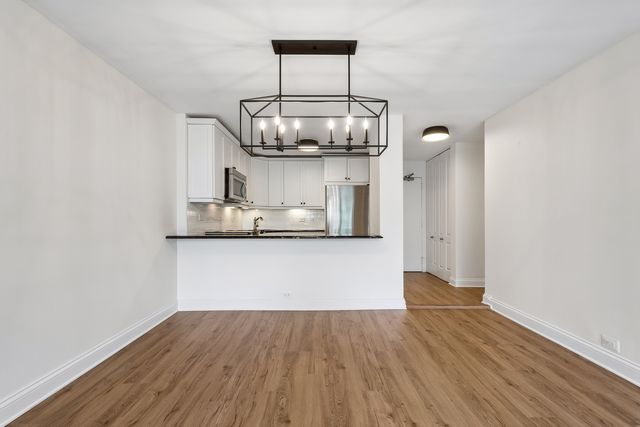 1555 N Sandburg Terrace 512K, Chicago, IL 60610