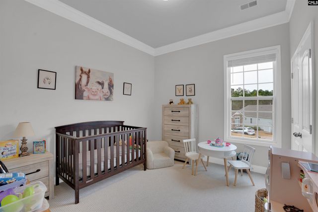 679 Scarlet Baby Drive, Blythewood, SC 29016